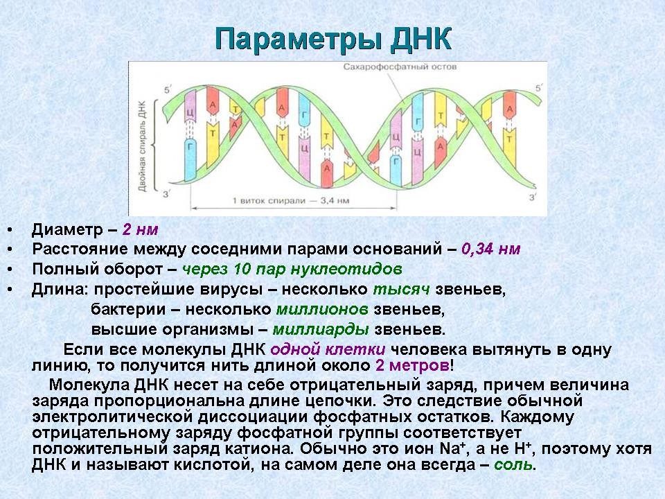 Параграф генетический код биология 10-11 класс каменский
